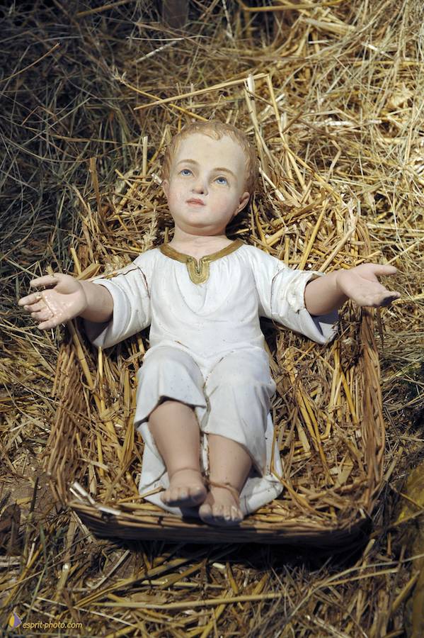 Nom de l'image : D30043024_1_(c)Norbert-JUNG — Description :